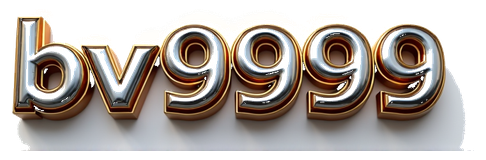 bv9999 logo